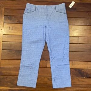 NWT Anthropologie Cartonnier Charlie Crop Trouser Blue Stripe 10